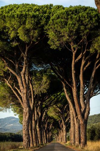 Agroturismo Tenuta La Pescaia