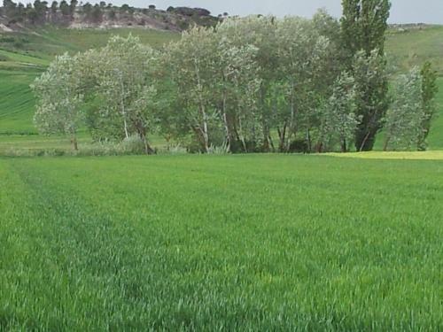 Agroturismo Centro San Pelayo