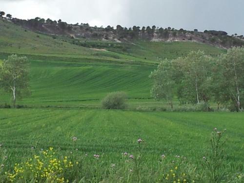 Agroturismo Centro San Pelayo