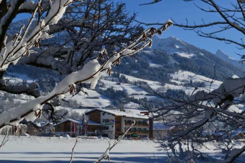 Hotel Aurach