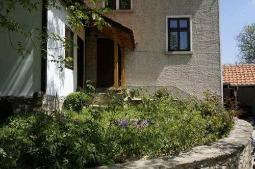 Hostal Guest House Pepeliana
