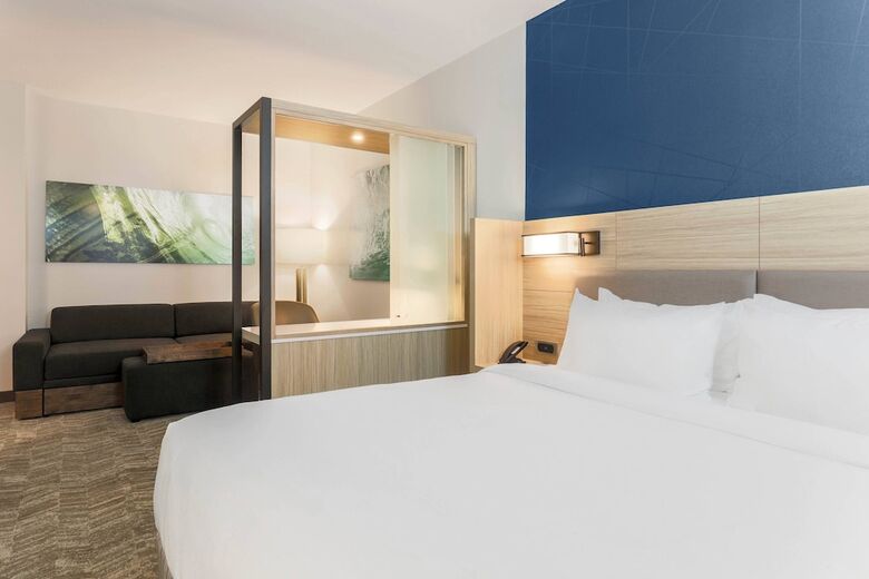 Hotel Springhill Suites By Marriott Tallahassee North