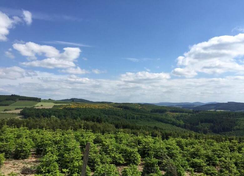 Hotel Ruhige Wohnung In Meschede Im Sauerland Mit Balkon