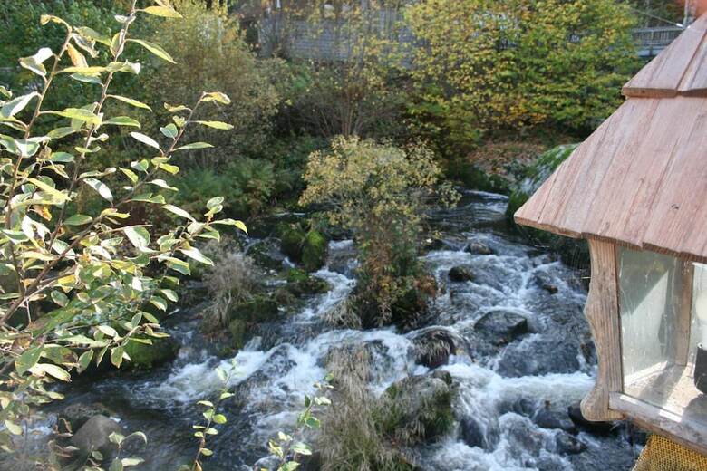 Hotel G�stehaus Zur Lilie