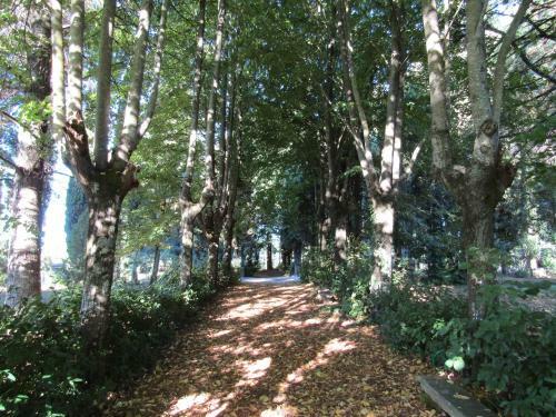 Hostal Monastero San Vincenzo - Casa Per Ferie