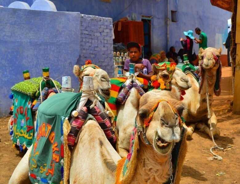 Hotel Luxor Nile Cruises