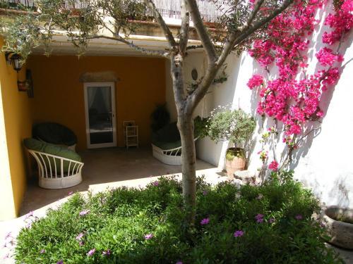 Bed & Breakfast Can Selleretas