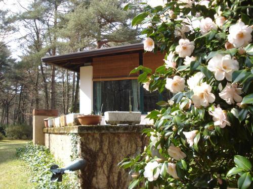 B&B Il Giardino Delle Cince