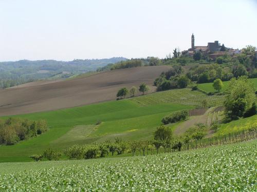 B&B Il Giardino Delle Cince