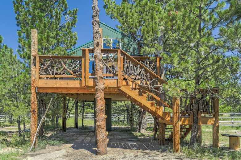 Tree Eagles Nest