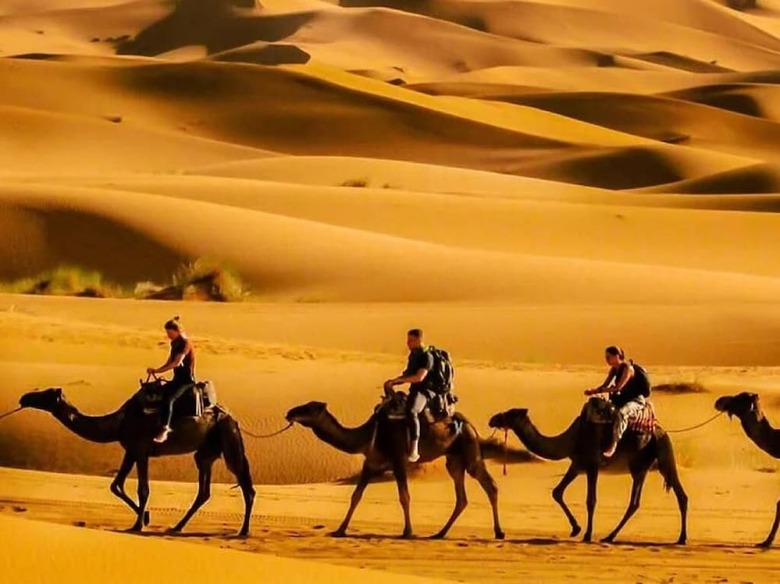 Hotel Merzouga Relax Camp