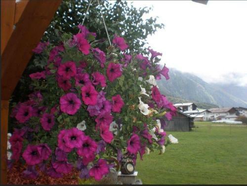 Apartamento Haus Bergfreund