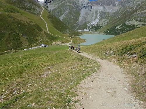 Apartamento Pension Alpin