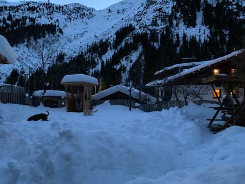 Apartamento Pension Alpin
