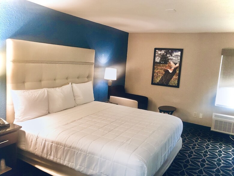 Hotel Baymont By Wyndham Mcallen/pharr