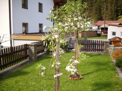 Apartamento Haus Renate Melmer