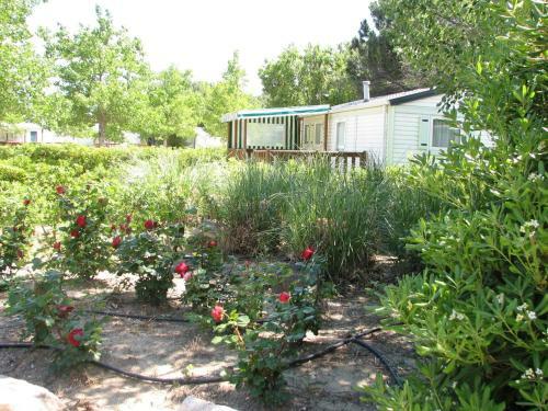 Camping Rives Des Corbi�res