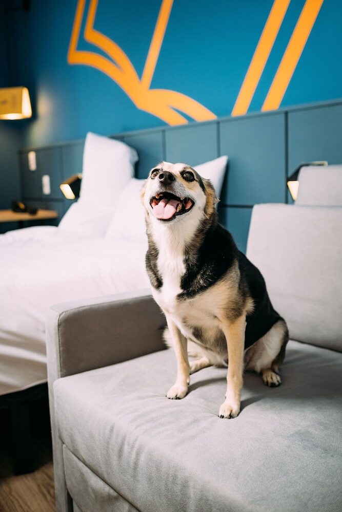 Hotel Ibis Styles Po�os De Caldas