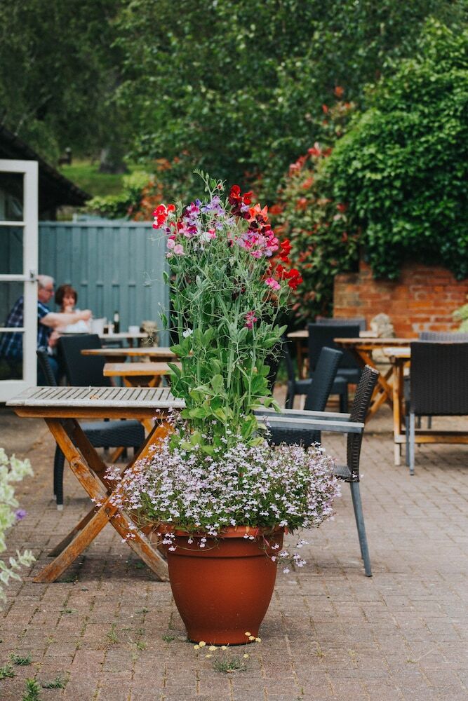 Bed & Breakfast Kings Arms Otterton