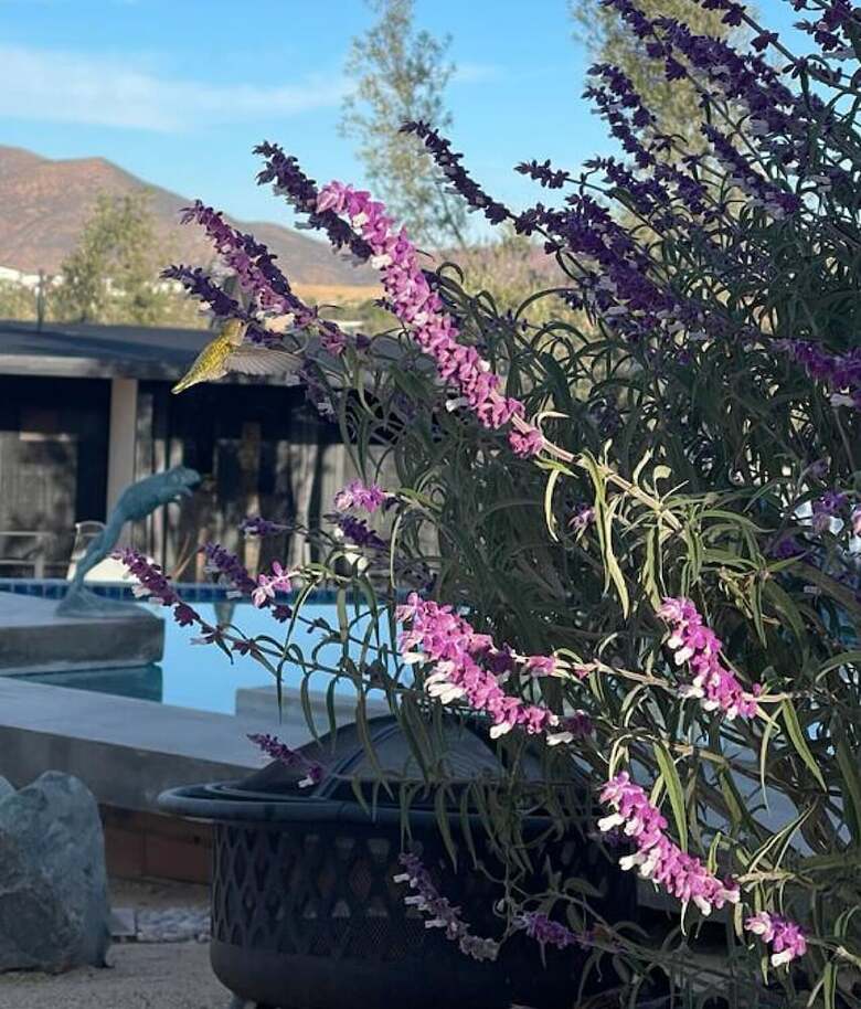 Hotel Finca Cazosa