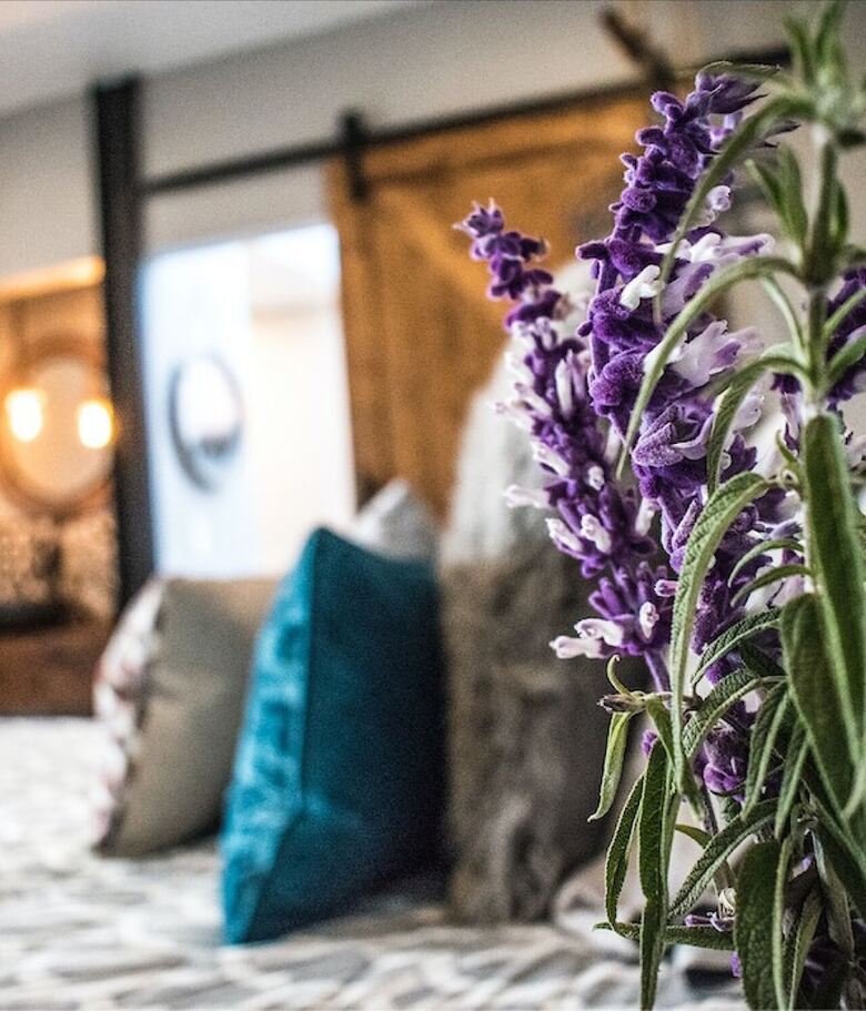 Hotel Finca Cazosa