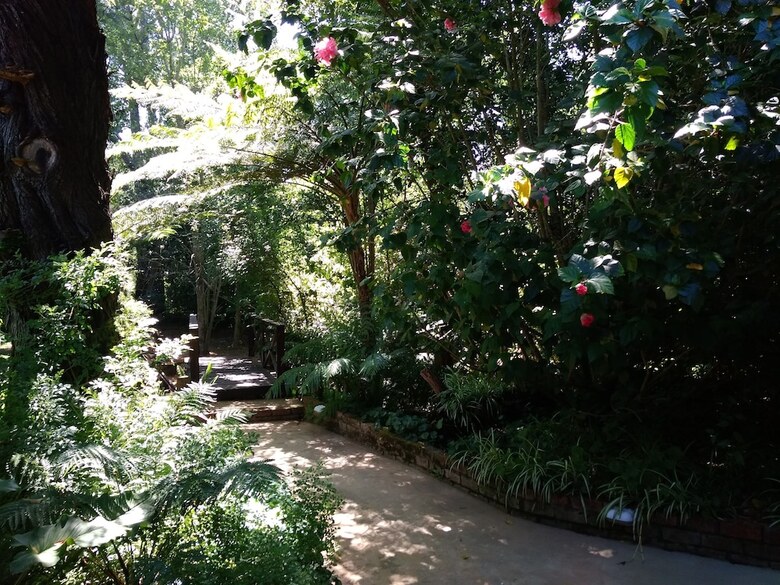 Bed & Breakfast Andelomi Nature's Rest