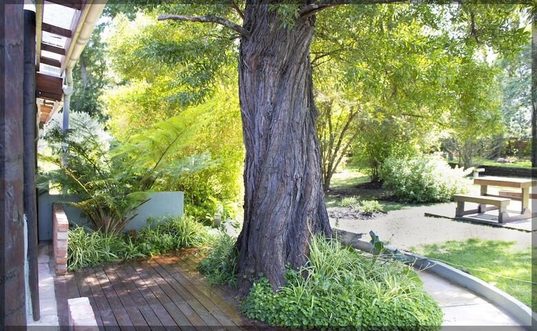 Bed & Breakfast Andelomi Nature's Rest