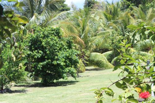 Apartamento Les Cayalines