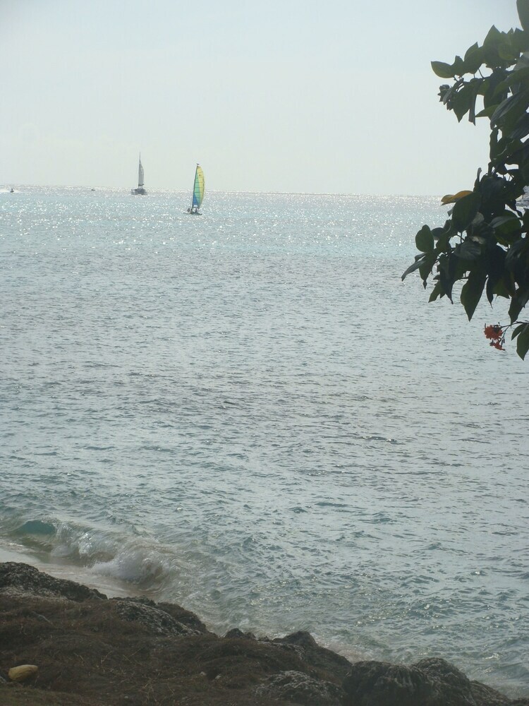 Coral Lane Beach Apartments