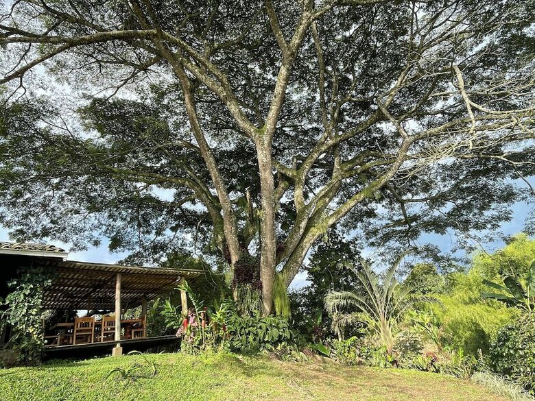 Hotel Muchosur Quimbaya