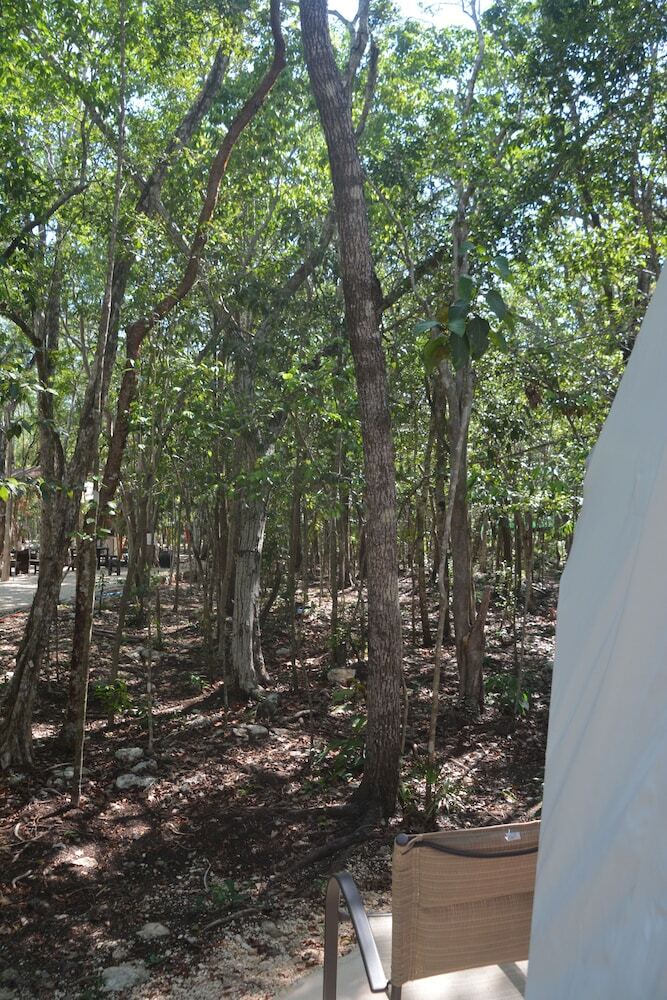 Hotel Glamping Mayan Glam