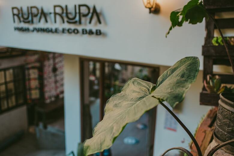 Rupa Rupa High Jungle Eco B&B