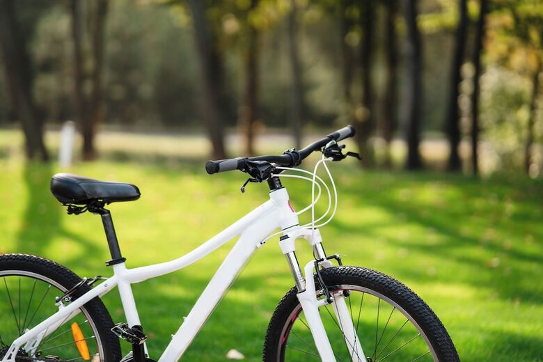 Hotel Ibis Styles Bogor Pajajaran