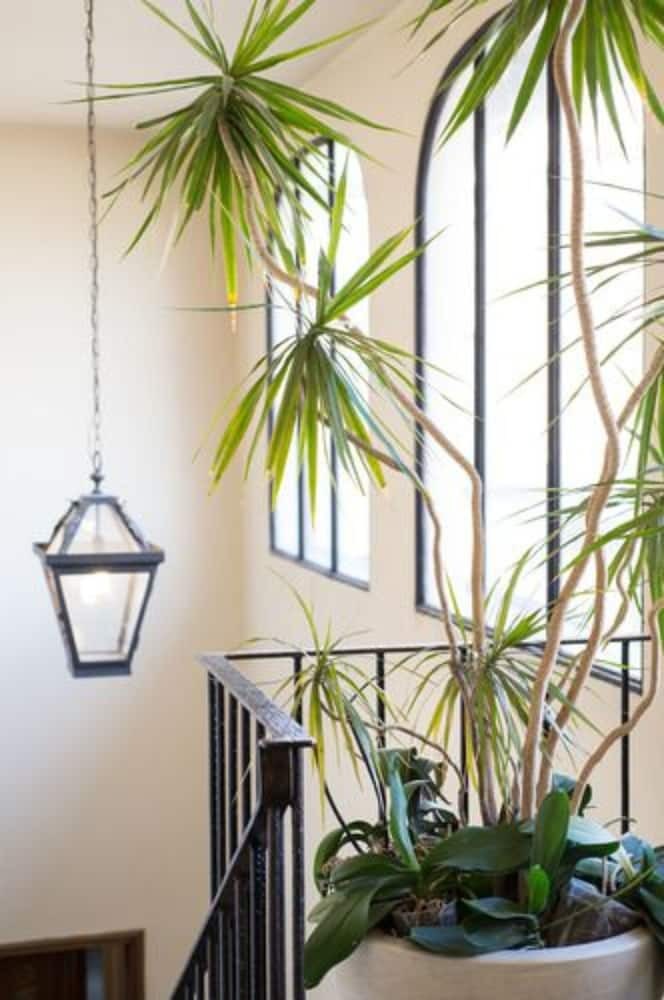 Residencia Tornabuoni Suites Collection