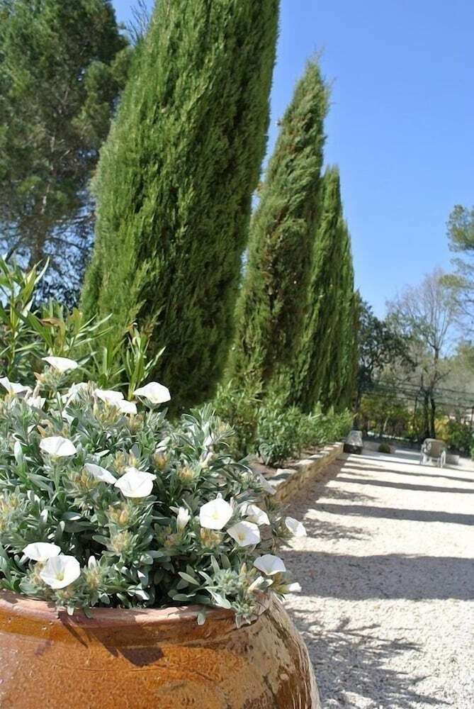 Hotel H�tel C�t� Ventoux