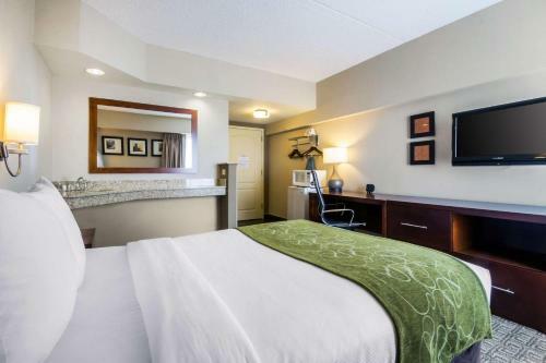 Hotel Comfort Suites Avenel