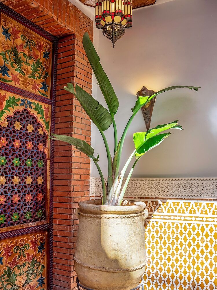 Riad Kilimini & Spa