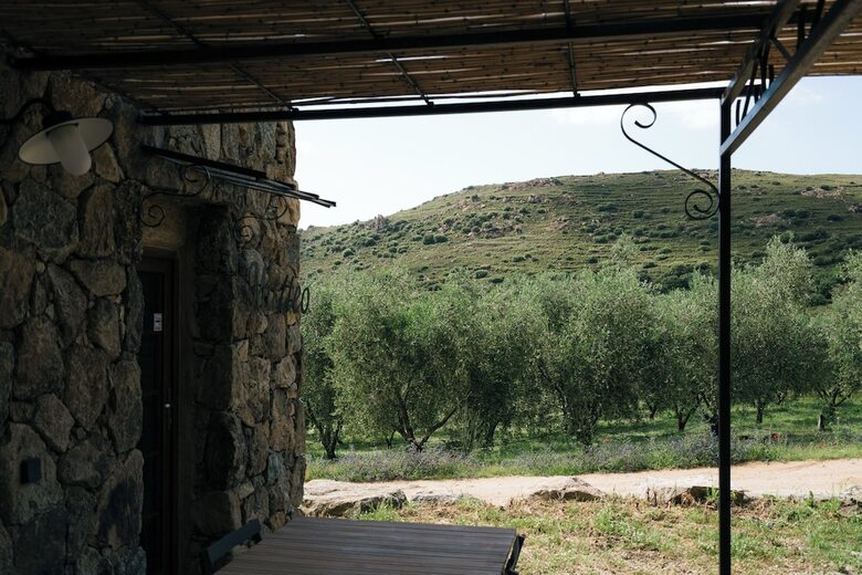 Domaine Acciola