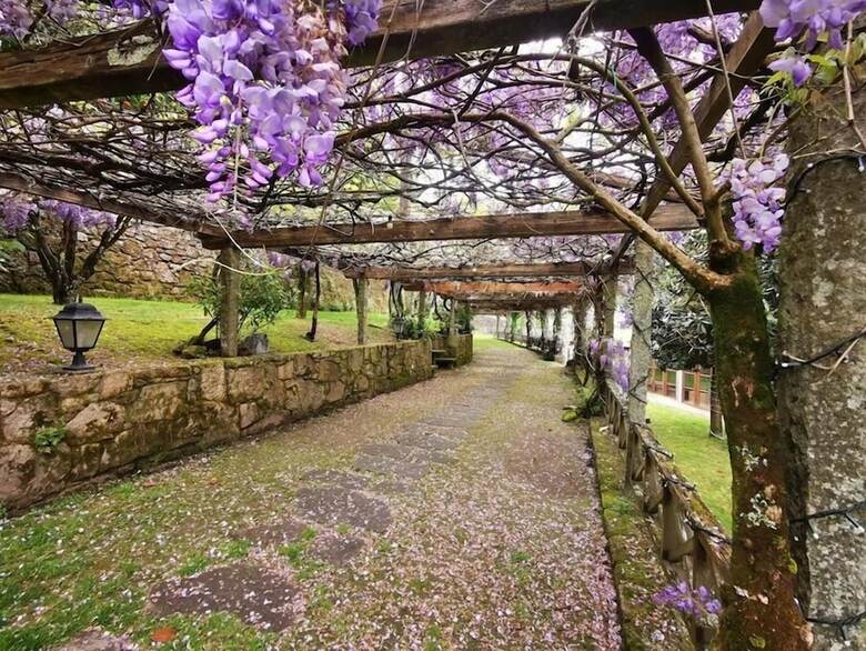 Hotel Pazo De Adr�n