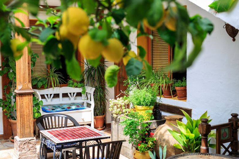 Pension La Posada Del �ngel