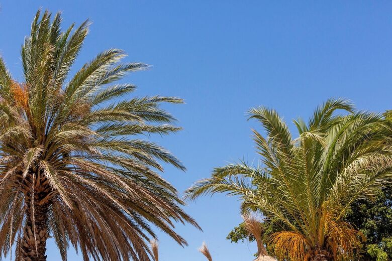 Hotel Dunas Tarifa