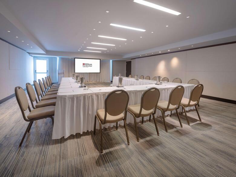 Hotel Hilton Garden Inn San Juan Condado