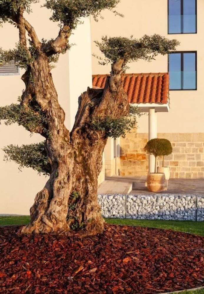 Hotel Finca La Desa