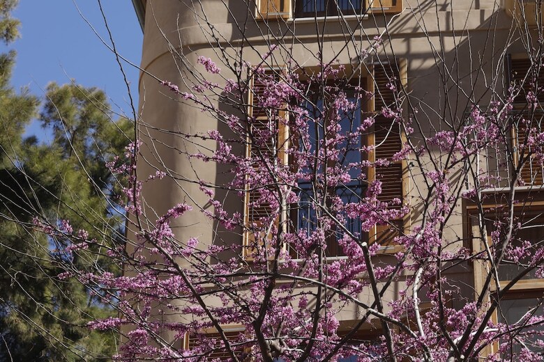 Hotel Vila Damunt Suites