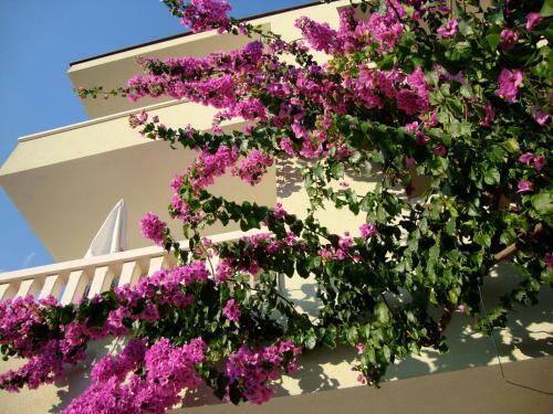 Apartments Villa ?izmi?