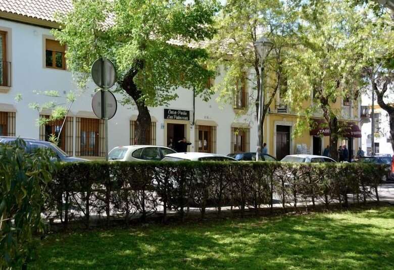 Apartamentos Casapatiolaspalmeras