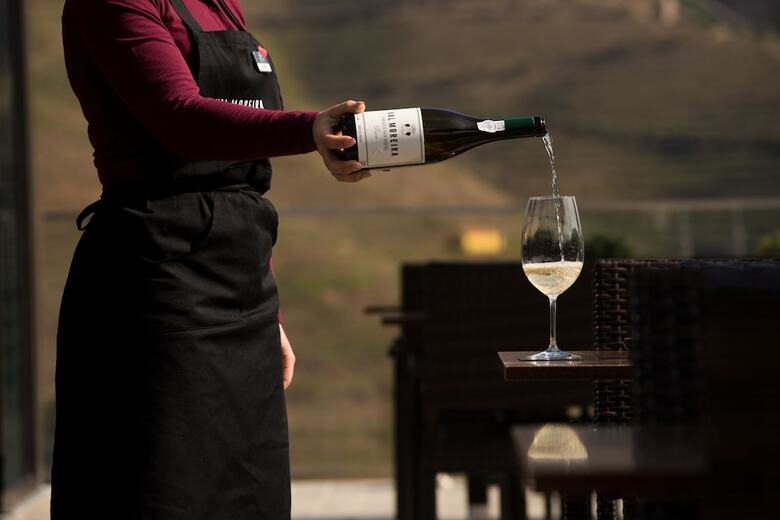 Agroturismo Vila Gale Douro Vineyards Hotel