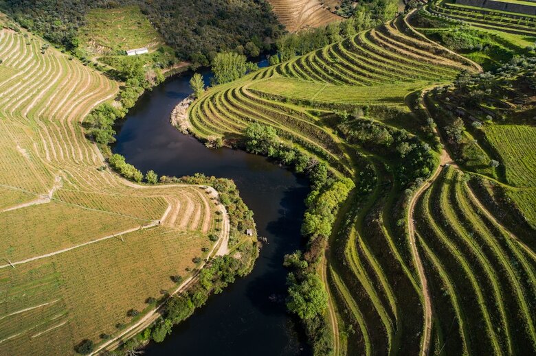 Agroturismo Vila Gale Douro Vineyards Hotel