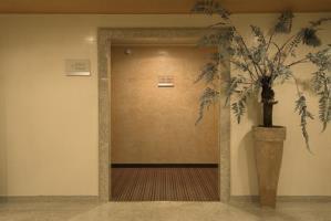 Hotel Crowne Plaza Milan-malpensa Airport