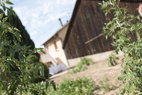 Apartamento Ferme Typique Alsacienne